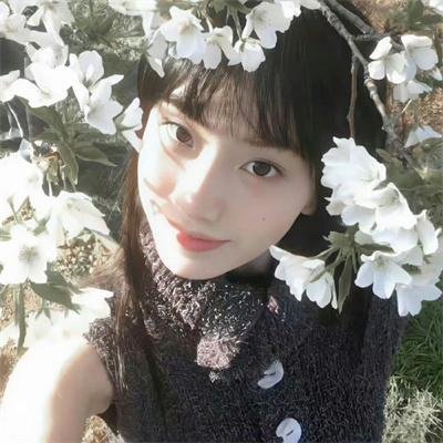 荒野谜尸